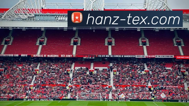 zoty中欧发展历程